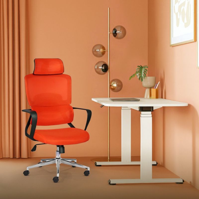 Mẫu 3 Ghế công thái học AIRFLEX D-01