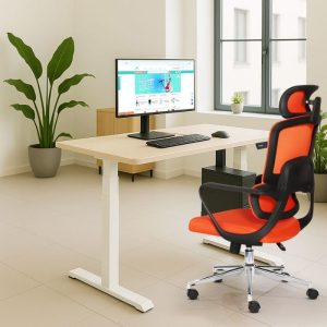 Mẫu 2 Ghế công thái học AIRFLEX D-01