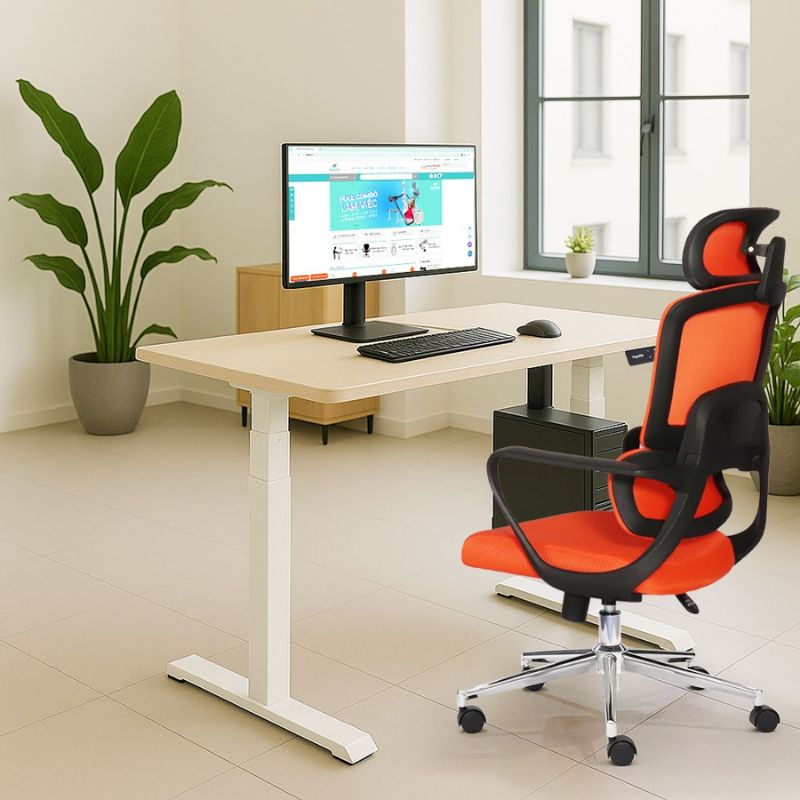 Mẫu 2 Ghế công thái học AIRFLEX D-01