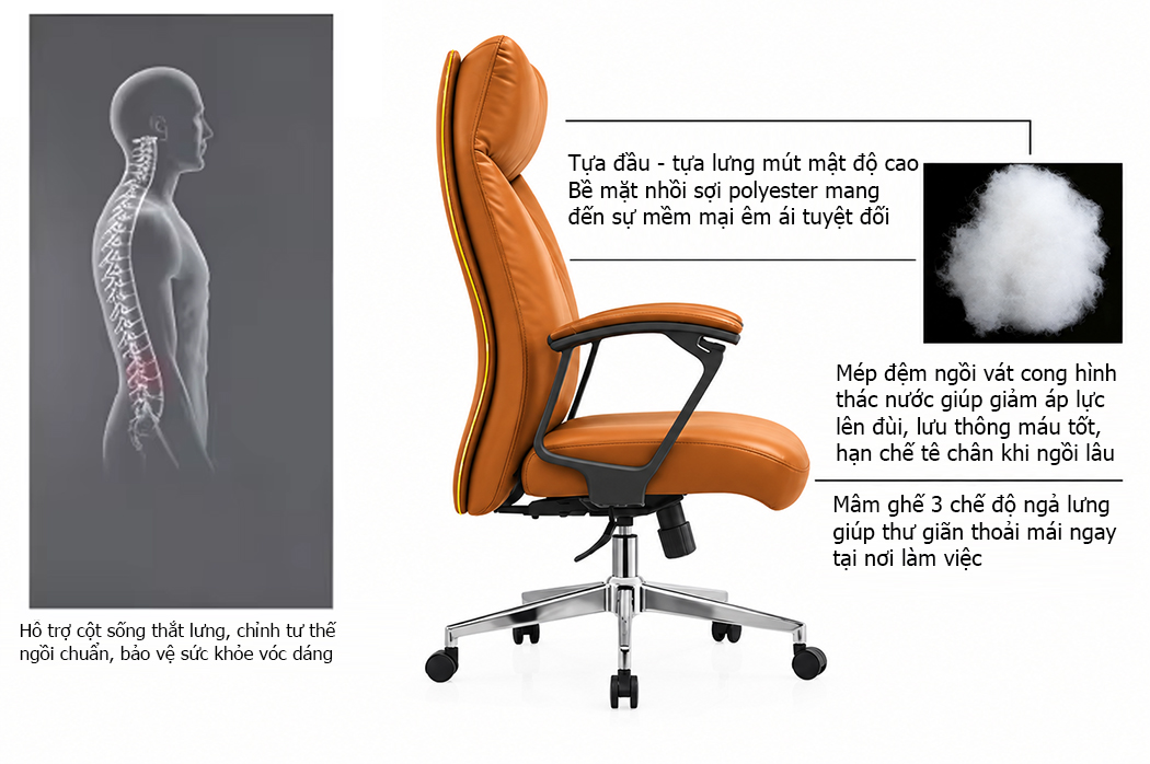 Thiết kế hỗ trợ cột sống của người ngồi
