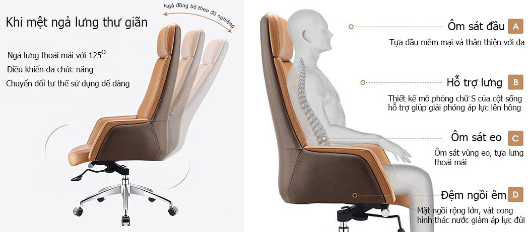 Ghế A20 thiết kế hỗ trợ người dùng làm việc thoải mái